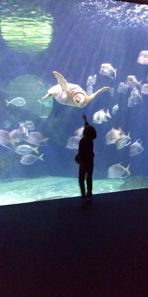 Meghan Alley tweet media