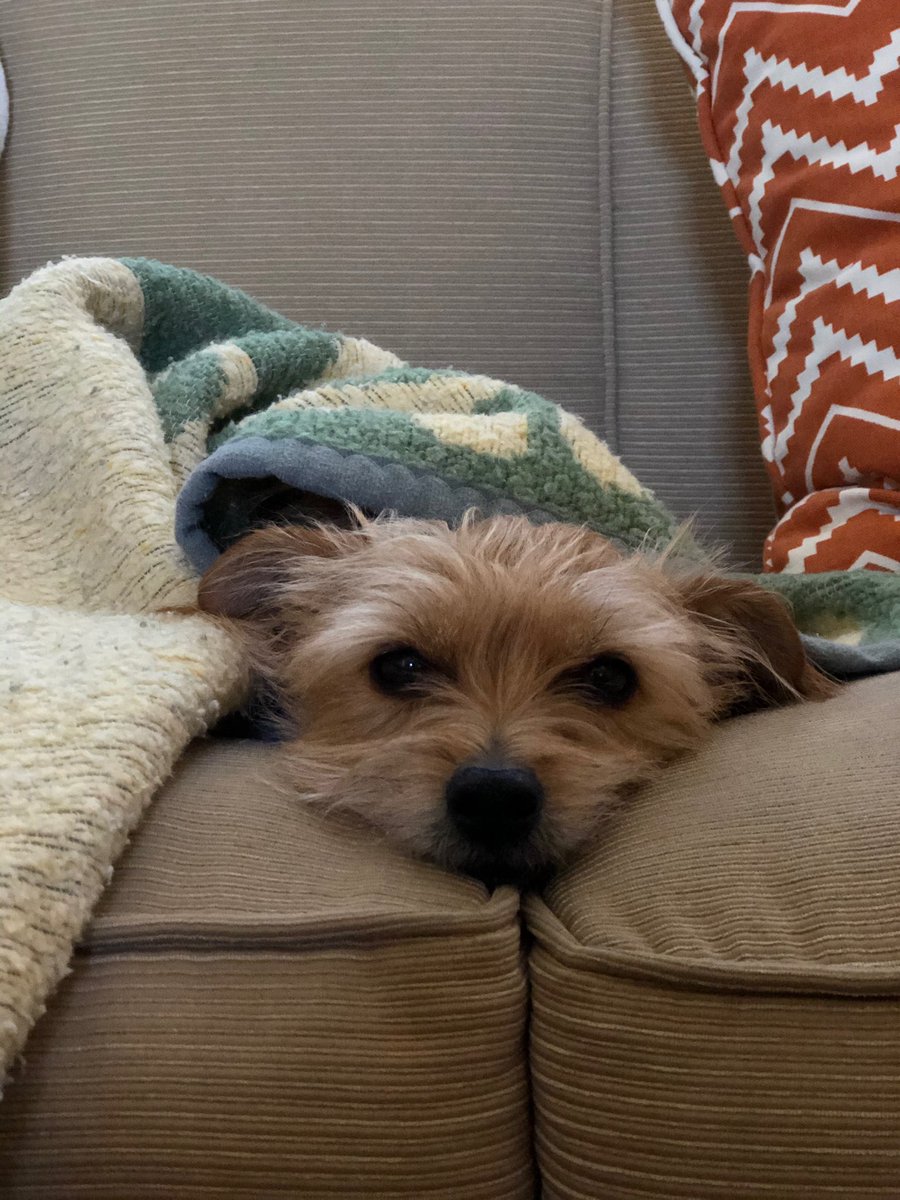 athenathechipoo's tweet photo. It’s cold. I need a sweater https://t.co/PuGeqsnnXI