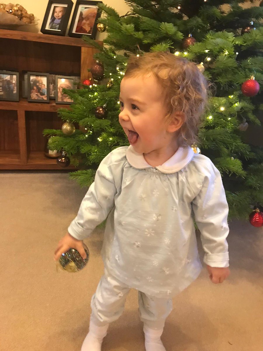 PeteEgerton's tweet photo. Despite some top advice from the #Harrogate Christmas Tree Centre @YEventCentre, there was no stopping these pair putting the tree up today ๐ฅฐ๐ Catch you in the morn early doors @StrayFM for the first #sleepstosanta ๐
๐ปhttps://t.co/BG2hBBMXeS https://t.co/i4wCo29sxF