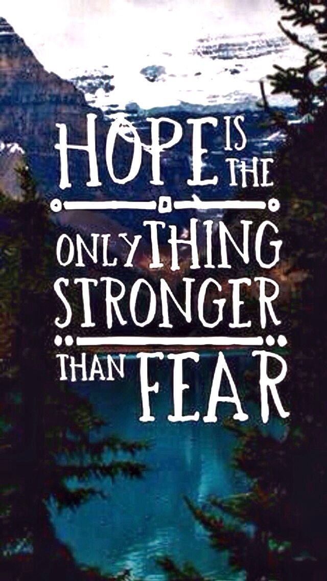 ADNFOREVER167's tweet photo. @radoc_jeana @Barbie21175878 @prettymai_0105 @WDabuet @EleonorBGarcia2 @tessie0526 @Blueberries32 @CutieIslandgirl @Macdongov @GlianeMarienell @Dorries5May1999 @Mamita1224 @ButedCita @CoraMarcelo1 @CalapArlene @denpolarbear Hope is the only thing stronger than fear. #ADNTheSeasonOfHope 
@ADN_Artist
@ALDUBSL
@yvonnee2210
@Kristine0035
@strawberrylene2
@schutty14
@viralara02
@lelenperalta911
@OctNov_0503
@glenguce
@vhielez4
@gingdiaz1
@BorjaGojar
@MAXICOY1
@mariachonatabe1
@mao_cory
@PonferradaElena https://t.co/iCrPOM8VSV