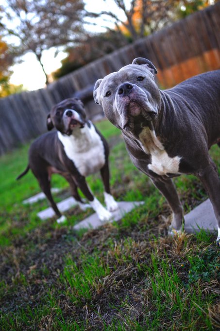 Watch Jet Leeroy's leaked NSFW photo on TwXstars