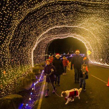 WinterWonderPDX's tweet photo. Forecast from @NatashaKOIN6 https://t.co/n55YTmwNHy is looking amazing for
@amazonnews Amazon Lights &amp; Leashes Dog Walk Nights sponsored by @KOINNews
Monday/Tuesday are our ONLY nights you can walk (with or without a pet, no cars) https://t.co/4Fgkf0p2e2
#dogsofAWS #dogsofamazon https://t.co/SwBecmx9PR