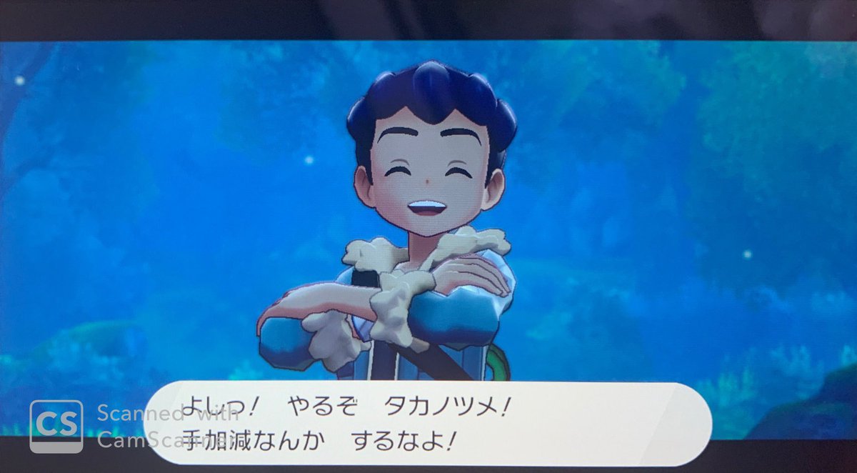 身内用 罪鍋ポケモン企画2 ポケモン剣vs盾vs鍋 12ページ目 Togetter