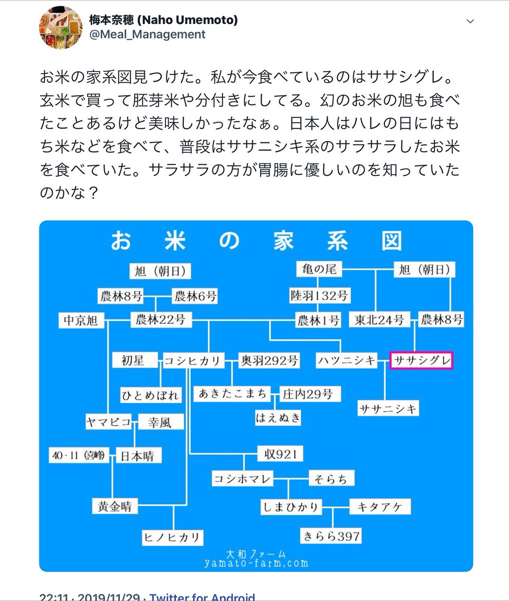 とねのめぐみ とねのめぐみ