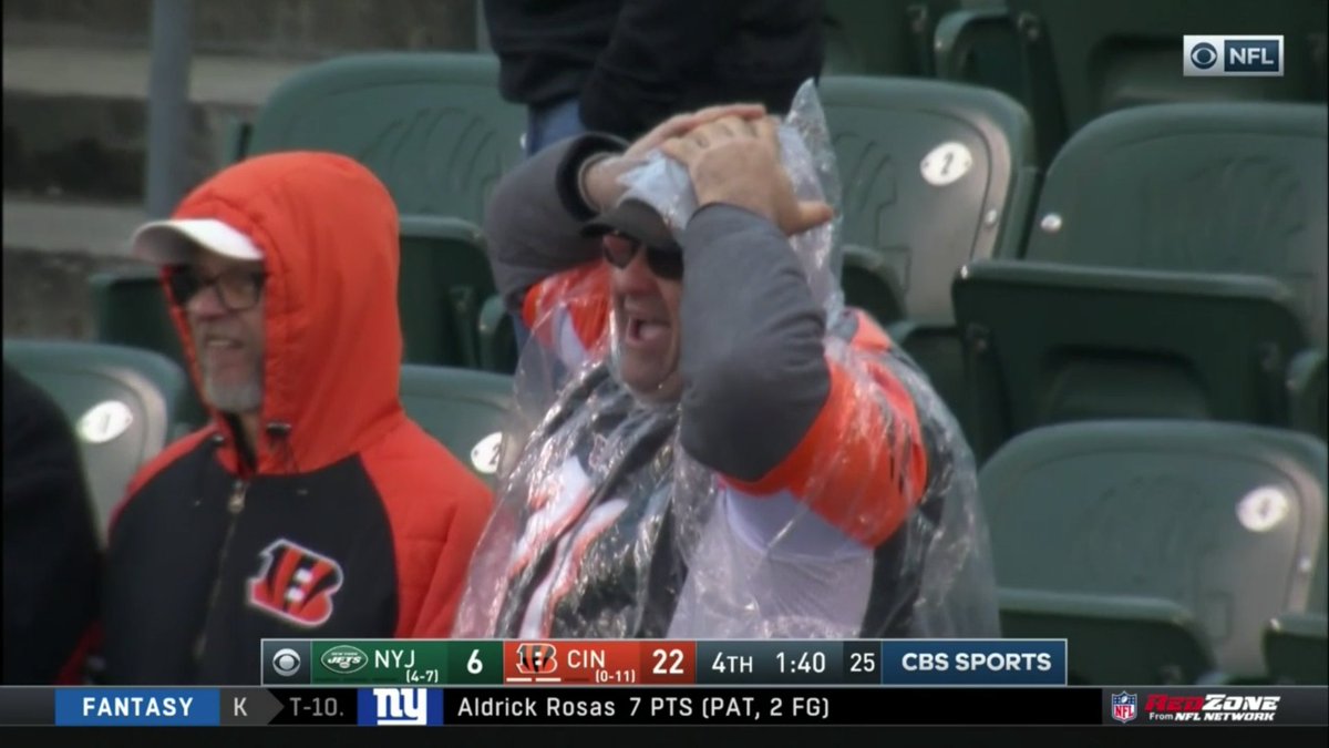 THE BENGALS WON A GAME THIS SEASON