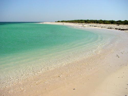 Эритрея красное море. Эритрея море. Архипелаг дахлак. Эритрея море. Красное море побережье эритреи.