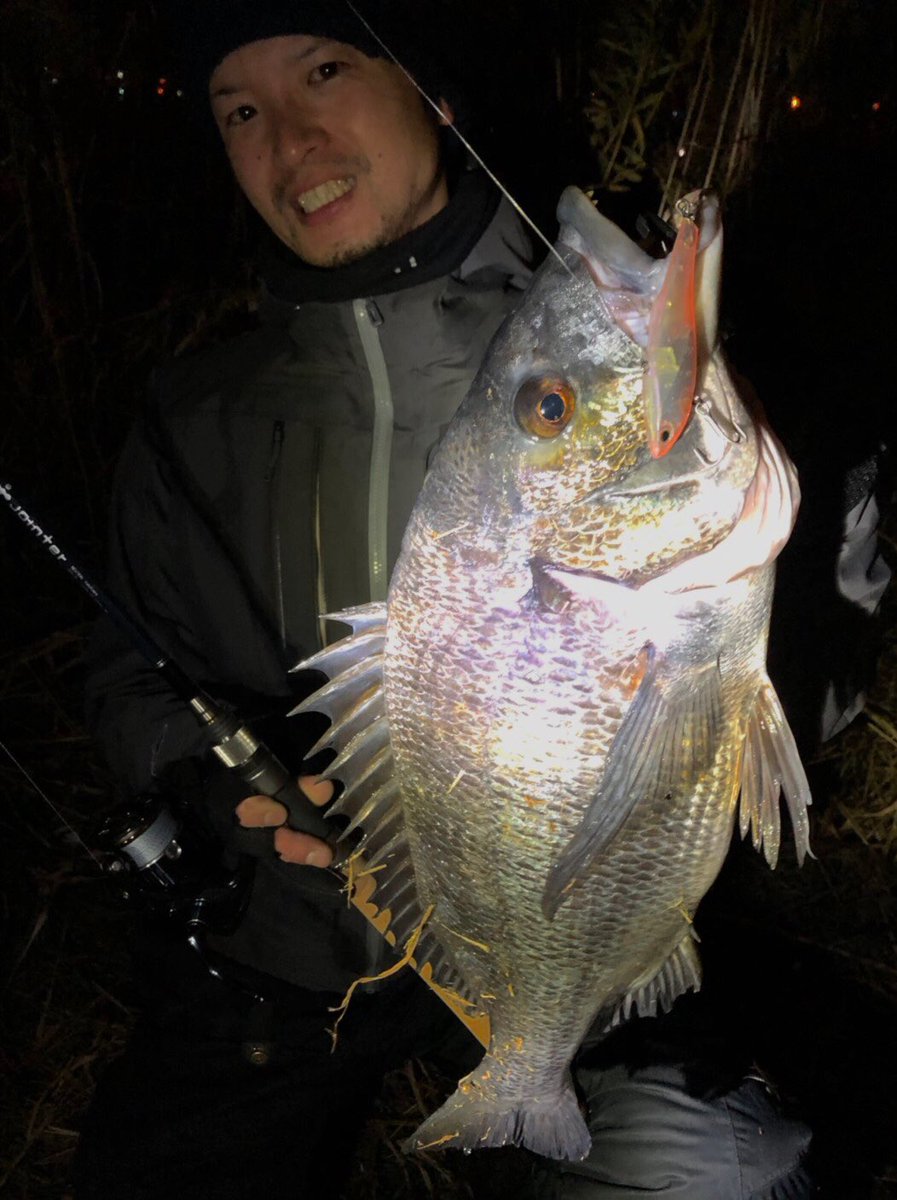 久々のお魚リハビリ完了！
ギュンギュンに引いてくれた黒い人😁
開始早々に無くしちゃいけないルアーを無くしたのは秘密。笑

#jointer #hatchzero #WILD1 #BIGFISH1983 #patagonia #Limecountryandstreams #LCstreamer #チヌ #クロダイ #黒鯛 #Acanthopagrusschlegelii #seabream #fishing #釣り