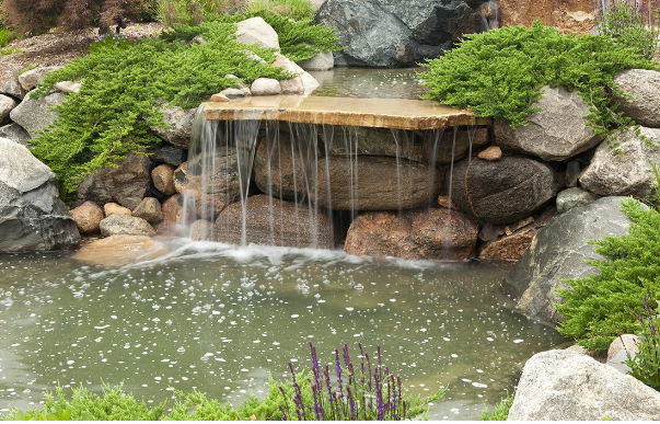 OurMetroplex's tweet photo. How to Install a Water Feature
READ: https://t.co/mMp8xBjBRH

Our Metroplex Realty LLC
(972) 430-2068
teamomr@ourmetroplexrealty.com
https://t.co/FwY5TI6aQ9

#TeamOMR #realestate #homebuying #homeselling  #SaturdayMotivation #carroltontx #lewisvilletx #Dallasforthworth #Grayson https://t.co/KOYNxjQ9wK
