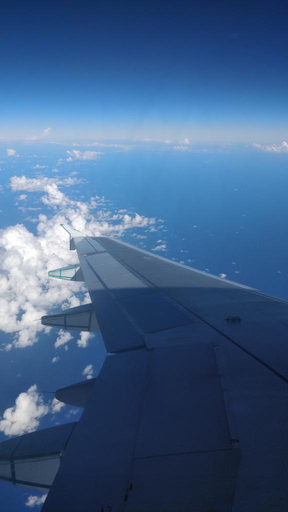 Matthew Veryser tweet media