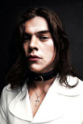Harry Styles Brasil - (Fã Clube) tweet media