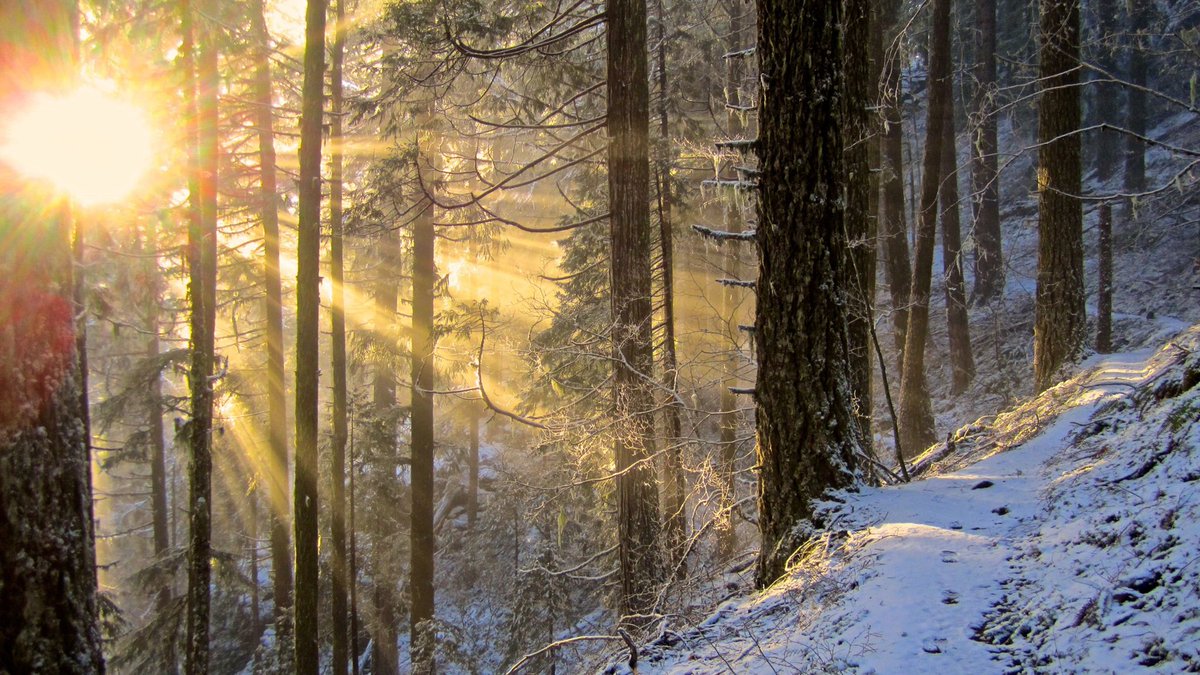 Forest Service NW tweet media