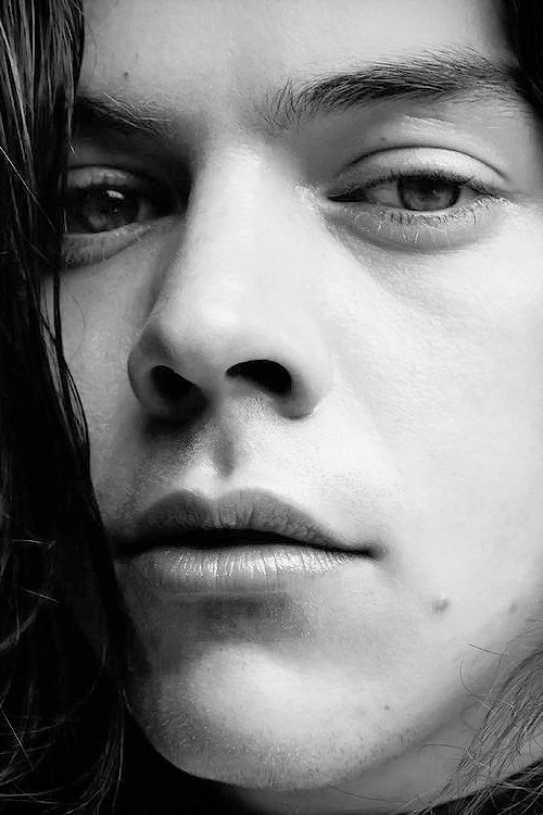 Harry Styles Brasil - (Fã Clube) tweet media