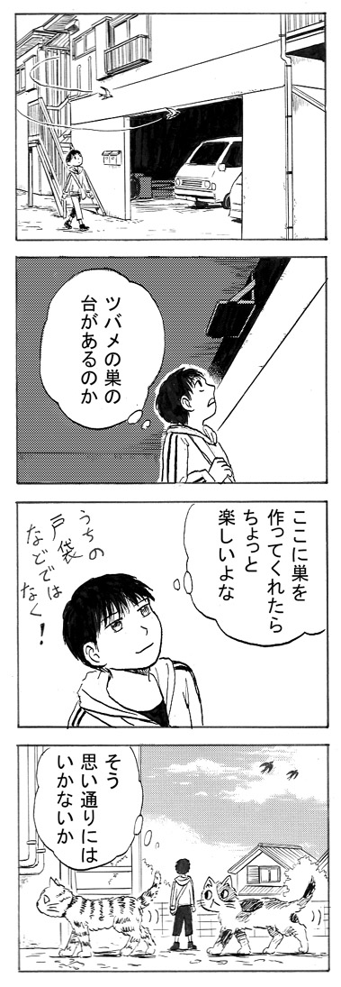 『いきものアパート』3/6 