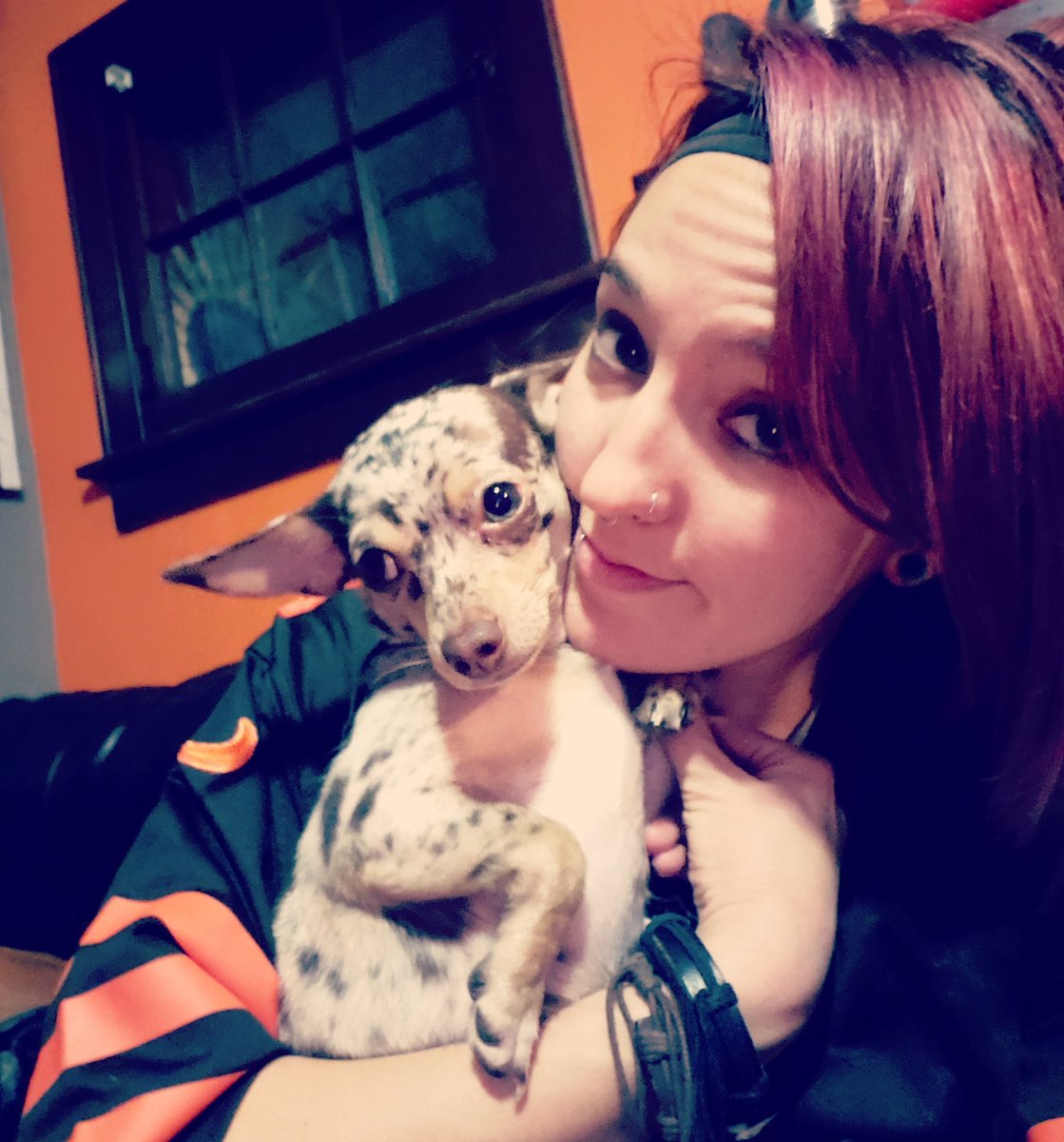 Samazing73's tweet photo. Sometimes, your team loses, but you still got love for the dawgs #CLEvsPIT #Browns #DawgCheck #HereWeGoBrownies #WoofWoof #PuppyLove #PuppiesOfInstagram #DogsOfInstagram #Chiweenie #AdrianRZA #LittleLove #YoureMyDensity #IMeanDestiny #SundaySundaySunday #International https://t.co/qPWbp5niUW