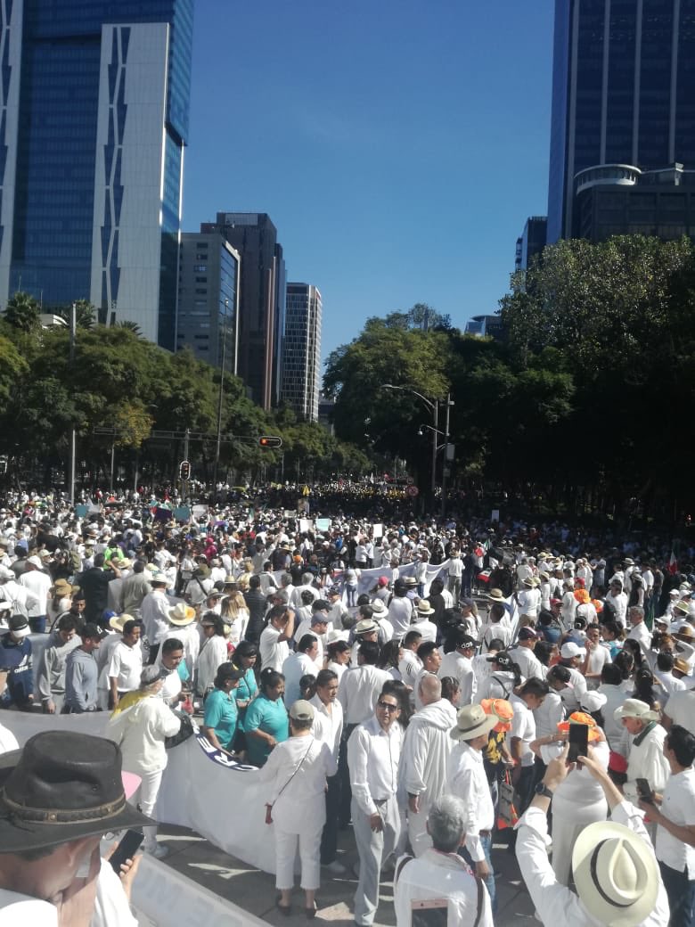 adrixmm's tweet photo. Hoy en LA Marcha 1 diciembre  afuera @lopezobrador_ fuera @MorenaPrensa fuera gobierno se ineptos.!!!! Es real no es fotomontaje!!! Mexico ya no te quiere!!!!!! Abajo @lopezobrador_ https://t.co/a3oCugQPej