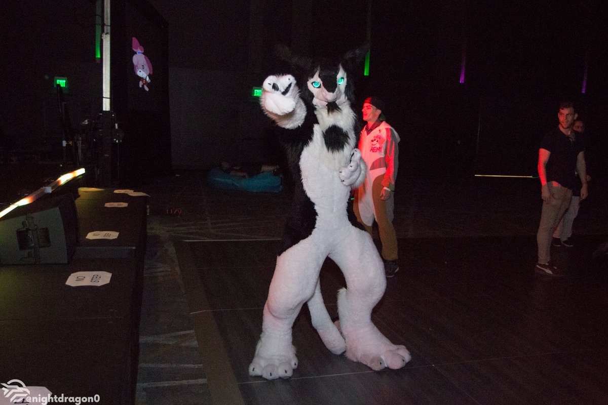 nightdragon0's tweet photo. My photos for #ANW2019 @anthronw are now up! Feel free to re-post photos of yourself with credit!
https://t.co/6WaT9hEXLc

#fursuit #fursuiting #anw19 #anthronorthwest2019 

Preview images feat. @SaeboDog @DJk3rb3ro5 @ShobaPaw @RowdyYote @kitwanalion @kijani_lion @wolflumin https://t.co/mpTGk3ALQP