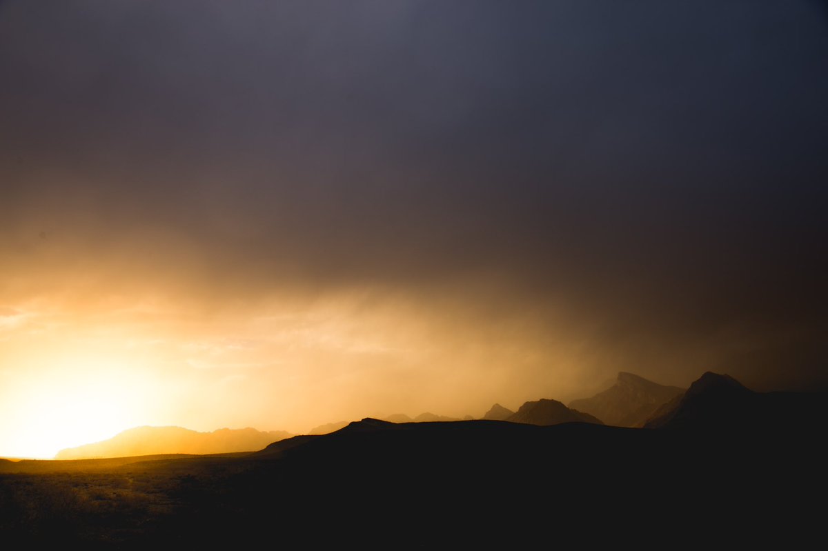 Chris Horrell tweet media