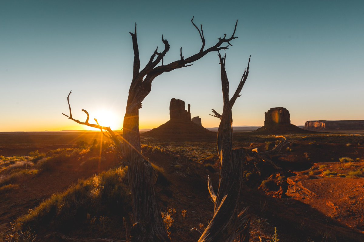 Chris Horrell tweet media