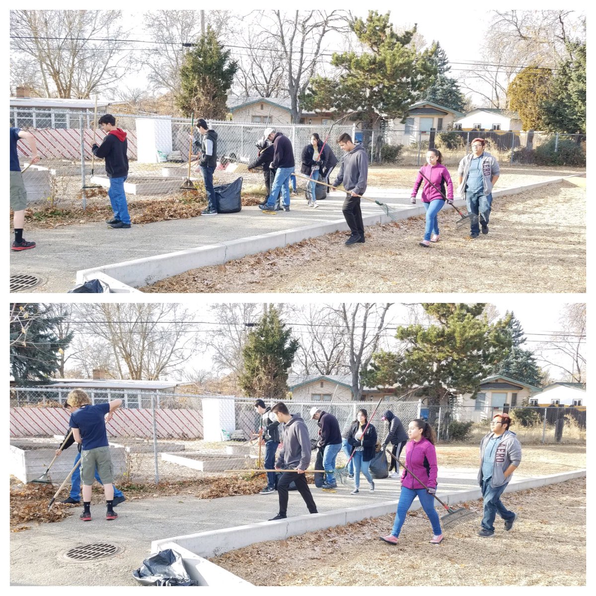 Thank you to Capital AVID students for raking leaves for us over Thanksgiving break!