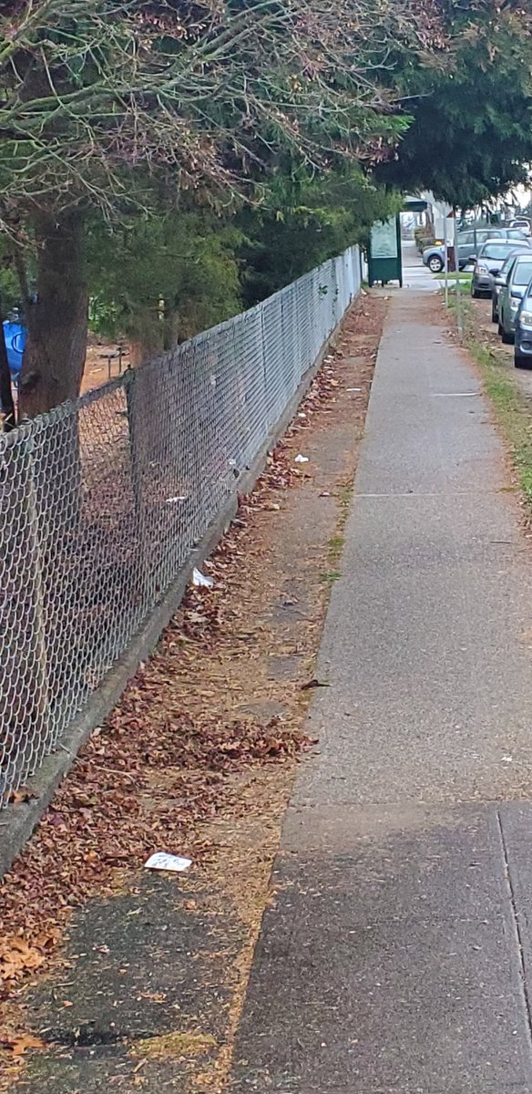 mrgreenwood206's tweet image. Wrapped up #PledgeForHumanity a little bit ago. And had the opportunity to share some Yang policy and ideas with a couple passers bys. 
Even inspired a Teenager to use a trashcan (ha!)