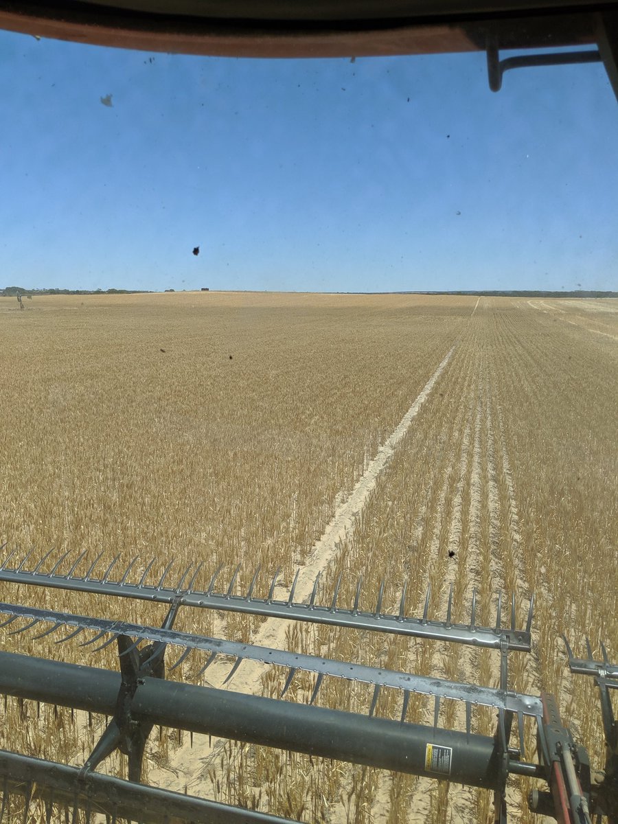 Marshall Crook tweet media