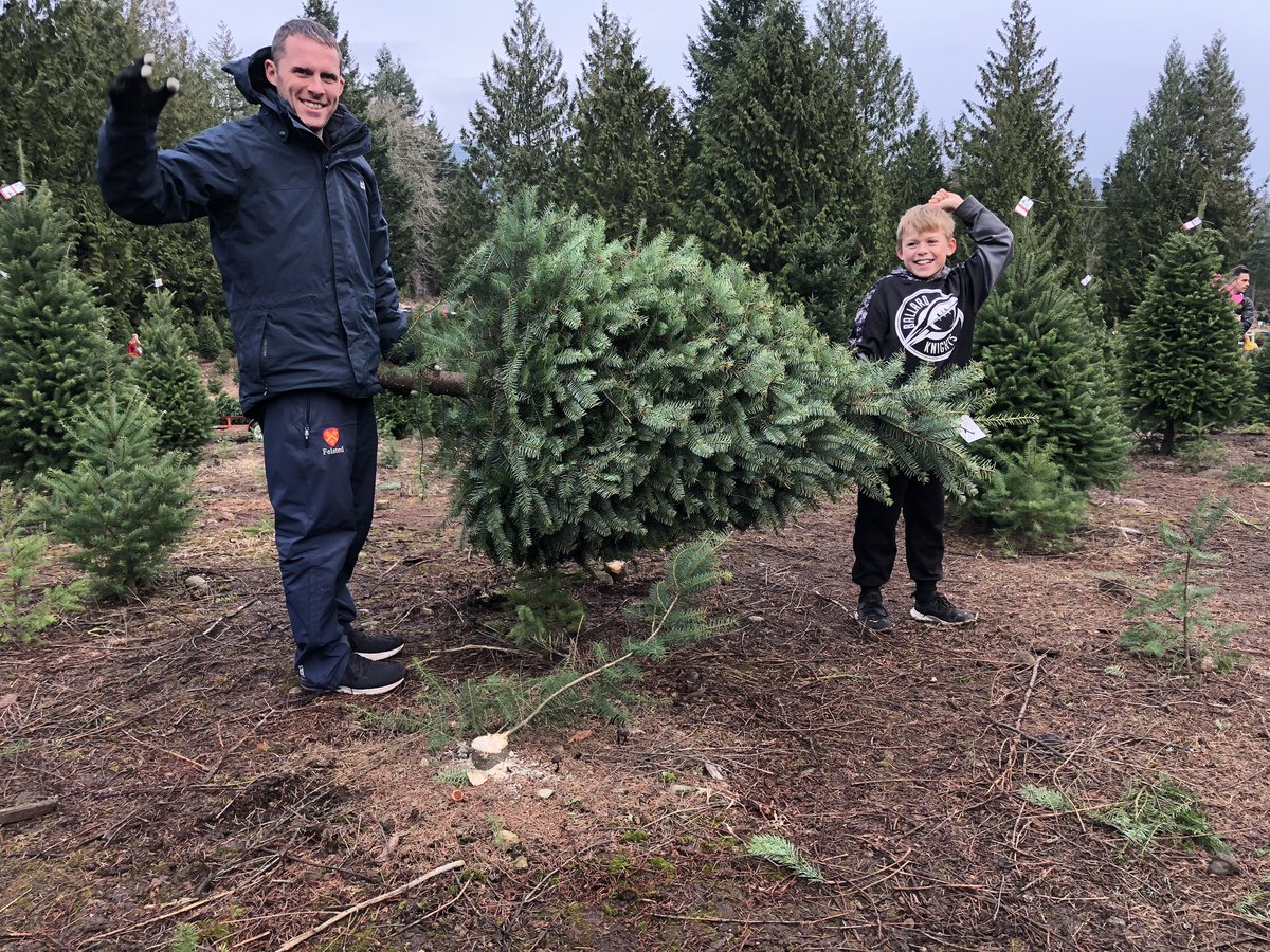 rees_da's tweet photo. A drive into the countryside today to find and cut down our Xmas tree for this year #trinitytreefarm #DIY #getthewifetodothesawing https://t.co/LiJj1f93er