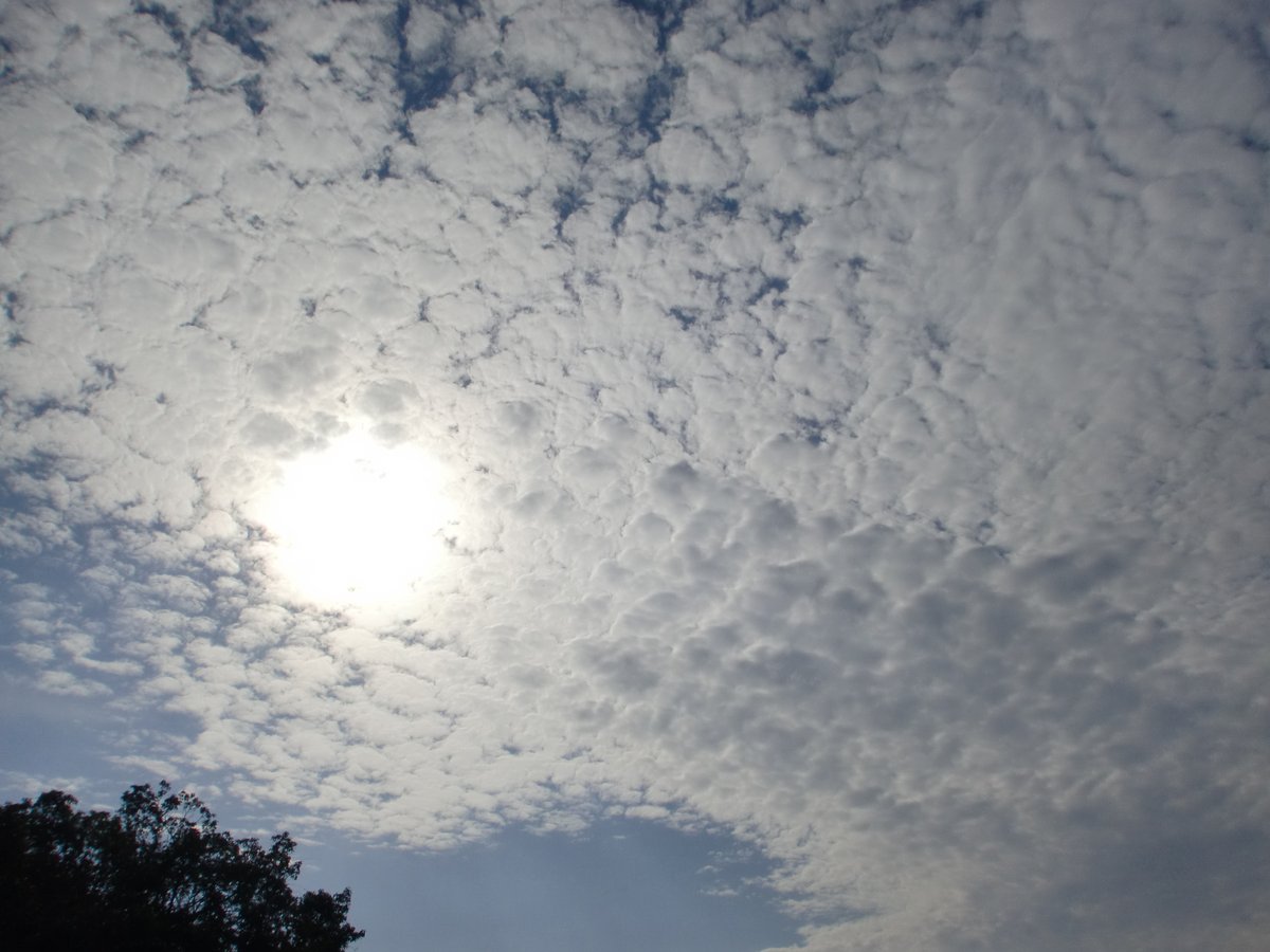 雲 うろこ 地震 地震雲ってあるの？うろこ雲との違いは？徹底解説！