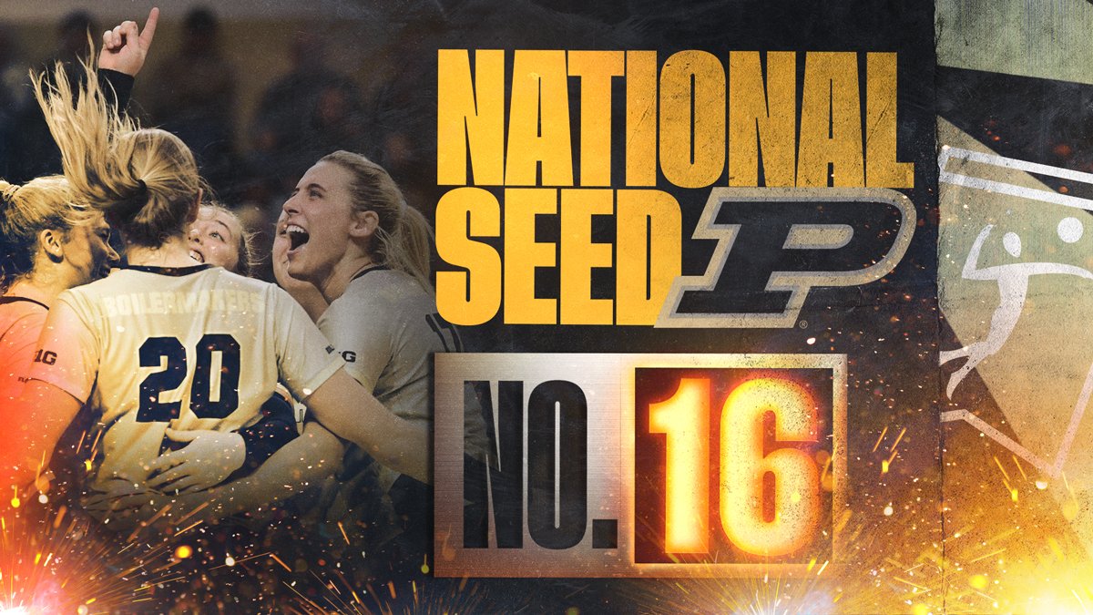 NCAA Women's Volleyball tweet media