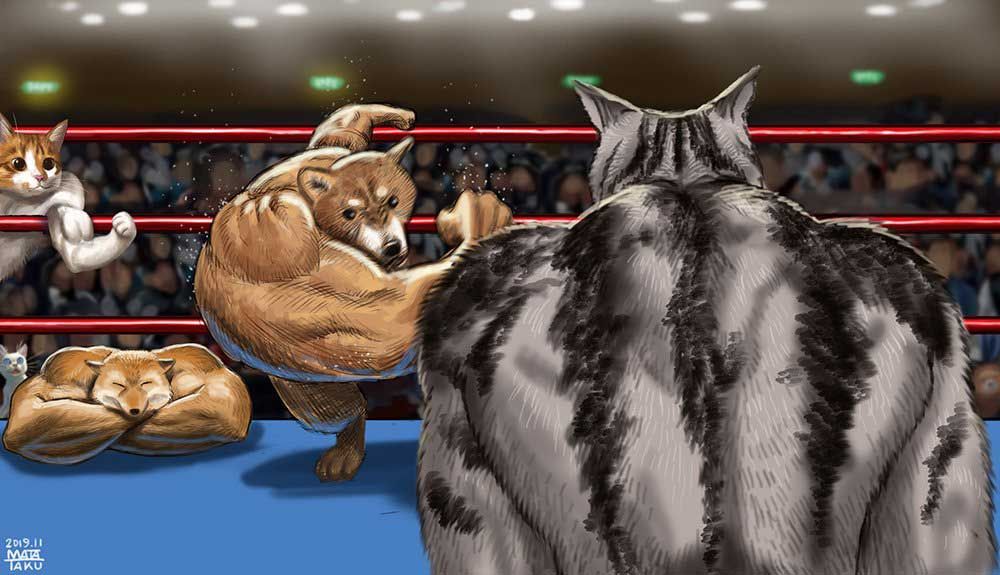 itm_nlab's tweet photo. マッチョアニマル大集合　💪🐱🐶🦊🐱

https://t.co/JBuxZhu4Wi @itm_nlabzoo https://t.co/DW3q2n7k9c