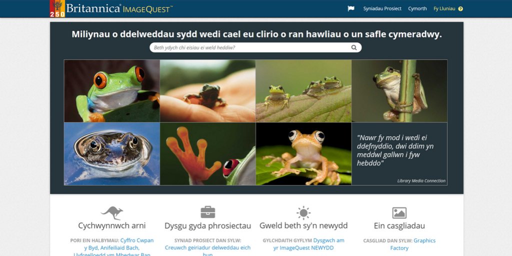 HwbAddysg_Cymru's tweet image. Wyddech chi y gallwch chi gael #ImageQuest yn Gymraeg drwy glicio ar eicon y faner? Ewch yno i chwilio mewn cronfa o filoedd o ddelweddau rhad ac am ddim y gallwch chi eu defnyddio i gyfoethogi’ch addysgu #Cymru #addysg #ysgolion