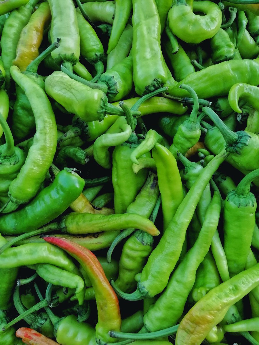   #BitsAndPiecesComposition: colors, patterns and repetitions are some of my favorite elements in a photo. It& #39;s always visually appealing because even when something appears to be chaotic, recognizing the reoccurring patterns changes it entirely.