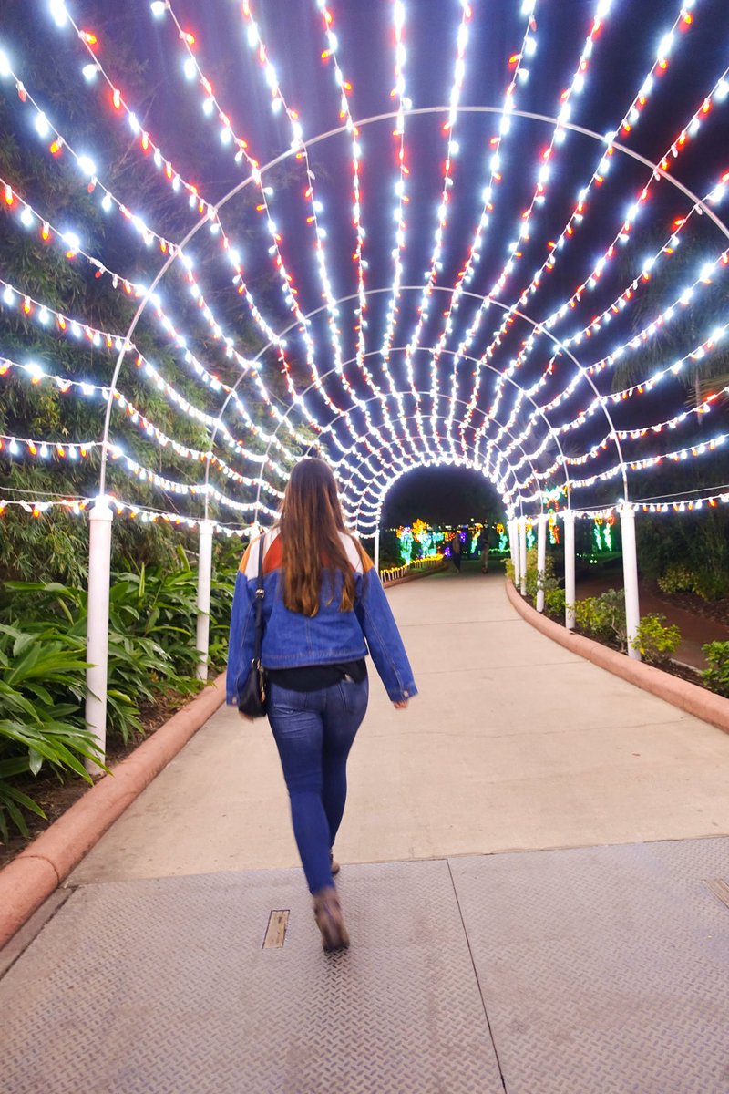 HoustonLocatio1's tweet photo. Moody Gardens, Festival of Lights 

Open until Jan 12th 

Enjoy the wonder of over one million sparkling Christmas lights on this mile-long trail featuring lighted scenes.

Admission includes one (1) ice skate rental and one (1) Arctic Ice Slide ride.

$8.95-18.95 https://t.co/PtTDEXAG3y