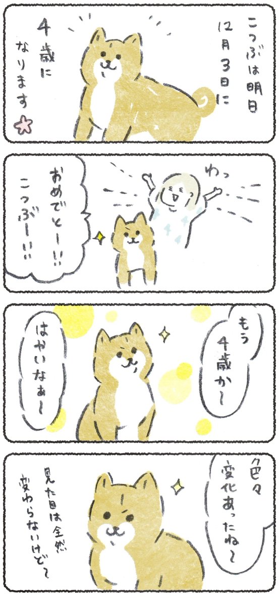 毎週月曜はこつぶ最新話の日?

こつぶは明日4歳になります、?
今回のお話は4年で感じる変化です

つづきはこちらから是非!
→https://t.co/5khfvWNHIl 