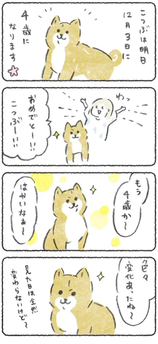 毎週月曜はこつぶ最新話の日?

こつぶは明日4歳になります、?
今回のお話は4年で感じる変化です

つづきはこちらから是非!
→https://t.co/5khfvWNHIl 