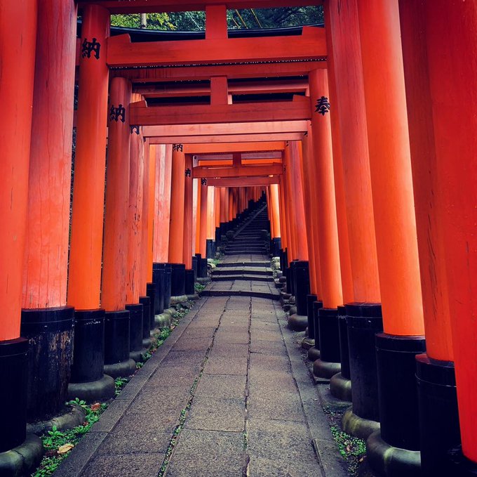 「神社 鳥居」のTwitter画像/イラスト(古い順)