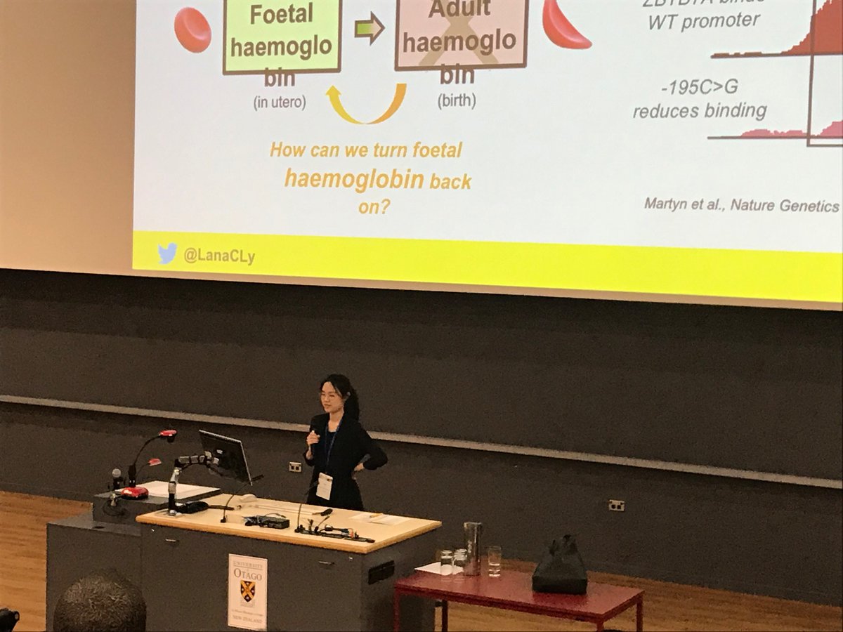 KateGQuinlan's tweet image. What a wonderful Quick Fire Presentation in the Student/Early Career Researcher Awards Session at the 16th Asian Conference on Transcription #actxvi19 in Dunedin today @LanaCLy! Congratulations Lana! @UNSWScience