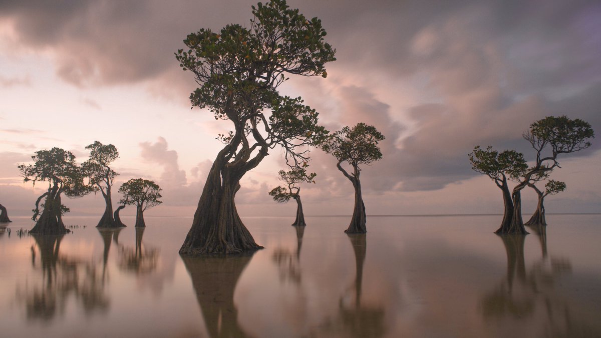 Walakiri beach, Eastern Sumba indonesia. Low tide on sunset would be a great photospot. This place is absolutely mandatory spot for all tourist and photographers.