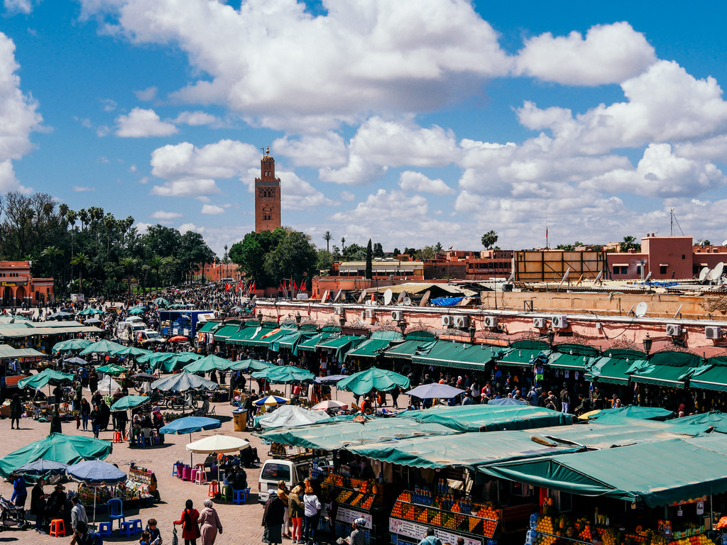 Journal of Nomads tweet media