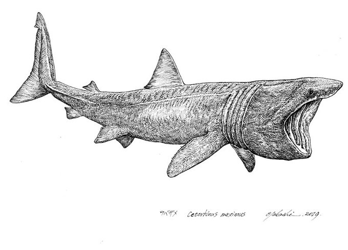 みんな何時間で1枚の絵完成させてんの のtwitterイラスト作品 人気順 みんな何時間で1枚の絵完成させてんの のtwitterイラスト作品 人気順