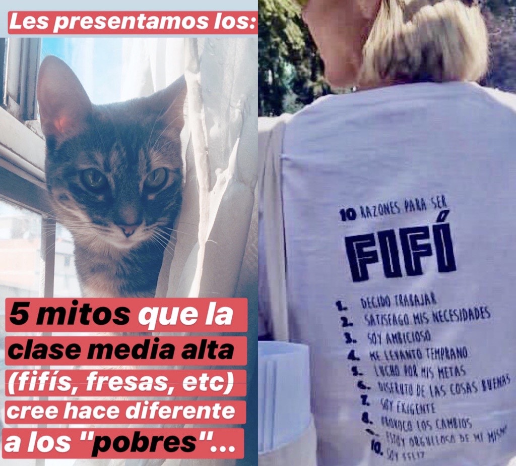 GatitosVsDesig's tweet photo. Miau. Vimos una playera que hablaba de las 10 razones para ser fifí (sic), y pues mejor les damos información real y verificable y les traemos los 5 Mitos (y  realidades) que la clase media alta (fifís, fresas, etc.) cree de sí mismos... https://t.co/aAFbNEu7LJ