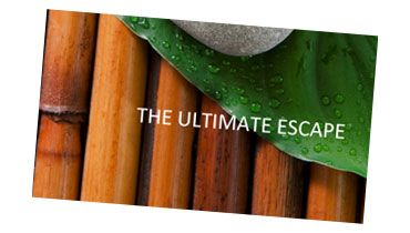 Holtz Spa tweet media