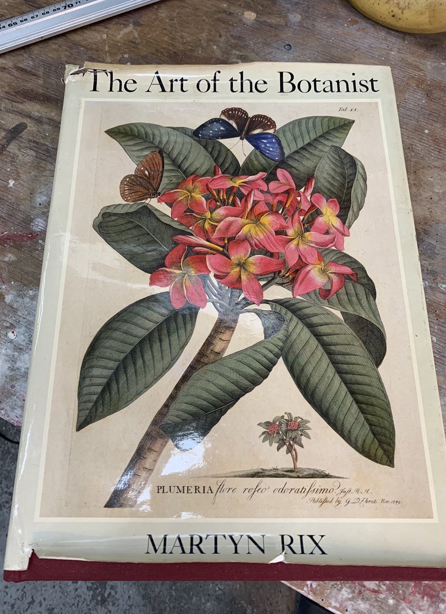 昨日見つけたかわいい本。
"the art of the botanist" ボタニストって植物学者って意味だったのか。 