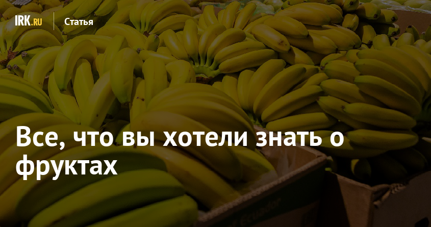 Все, что вы хотели знать о фруктах.

Мы спросили -- "Слата" ответила.
irk.ru/news/articles/…