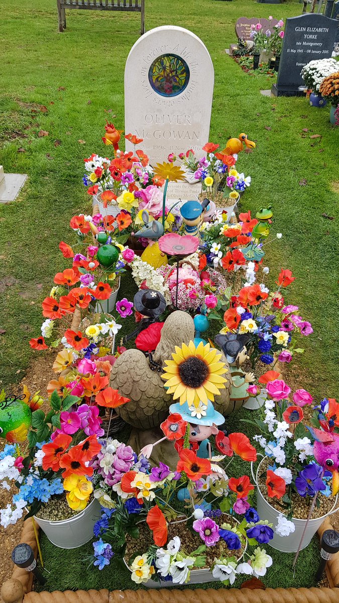 Paula McGowan OBE tweet media