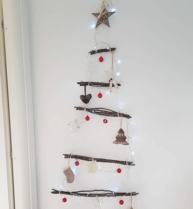 TipsAgroeco's tweet photo. Nuevamente llega el mes de diciembre y con el la navidad.
No pierdas la oportunidad de cambiar el tradicional árbol de navidad por otras opciones más amigables con el ambiente.
#navidad #concienciaagroecologica #ambiente 
#Repost @iviaggidellageo (@get_r… https://t.co/GQYUjqRhVj https://t.co/1NmFKaAM0V