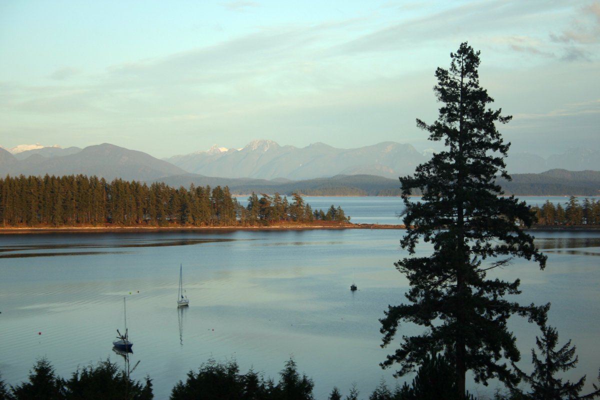 December 1st on a sunny frosty Quadra Island