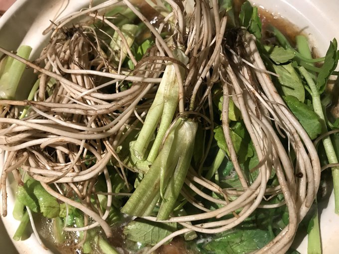 Shintakameokaさんのイラストまとめ 3ページ目