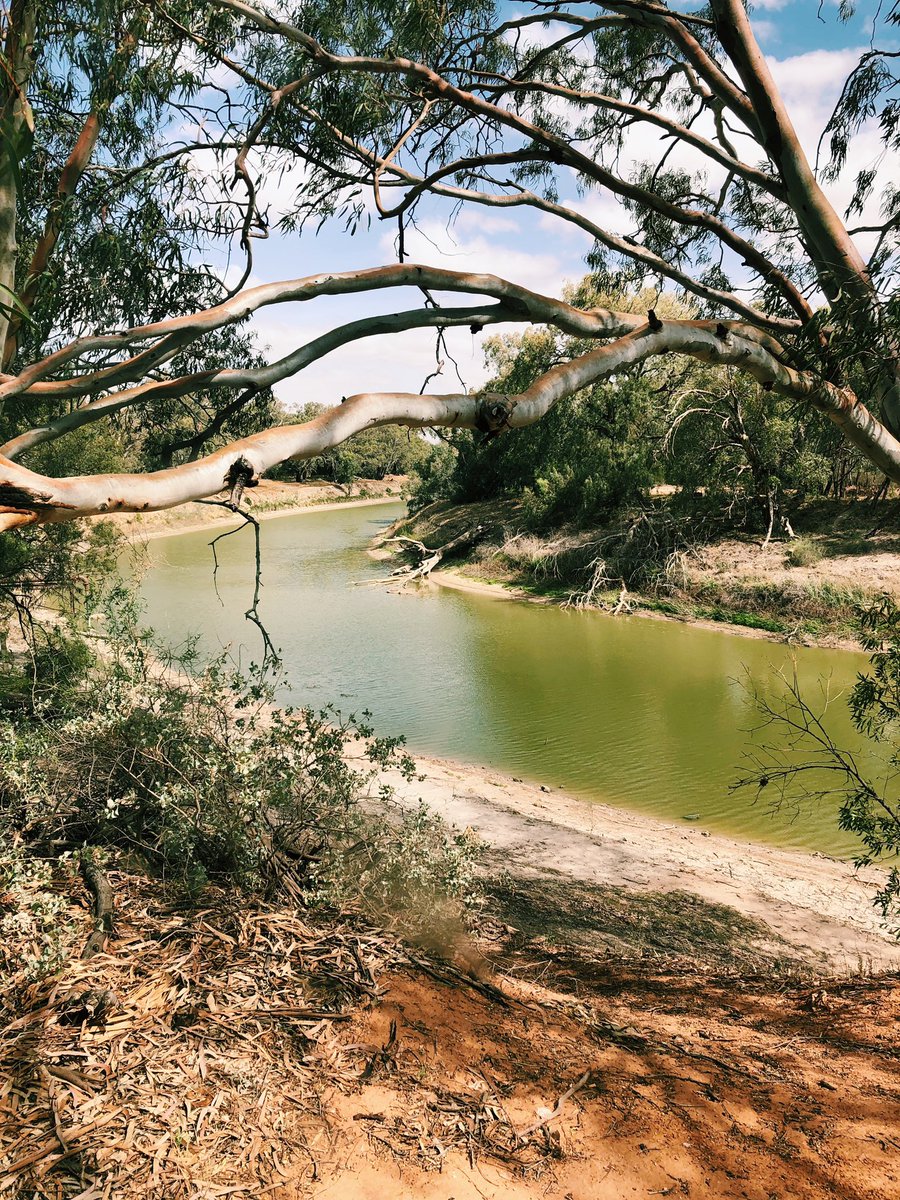 What an incredible first day of building connections and cultural understandings with Wilcannia Central School - a remote P-12 school in the Broken Hill district.