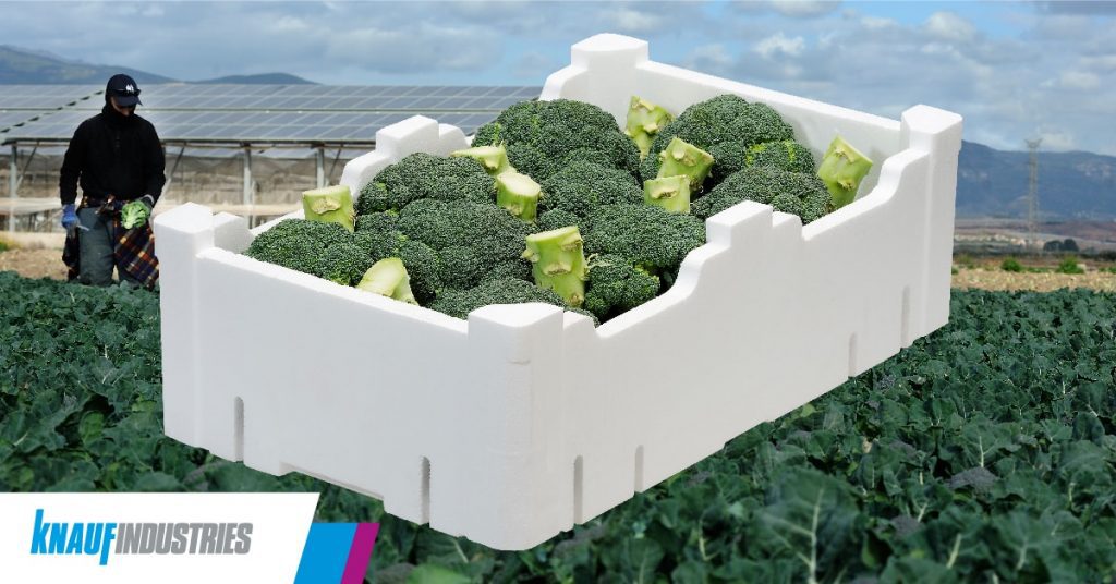 🍴🥦 <a href="/AlimenteEC/">Alimente</a> nos da las razones por las que debes comer #brócoli sí o sí 👇👇
alimente.elconfidencial.com/nutricion/2019…

⁉️ Sabías que || Existe un estudio que denuestra que las cajas de #EPS son la mejor solución para la conservación del #brocoli en #poscosecha 👉 knauf-industries.es/poscosecha-bro…