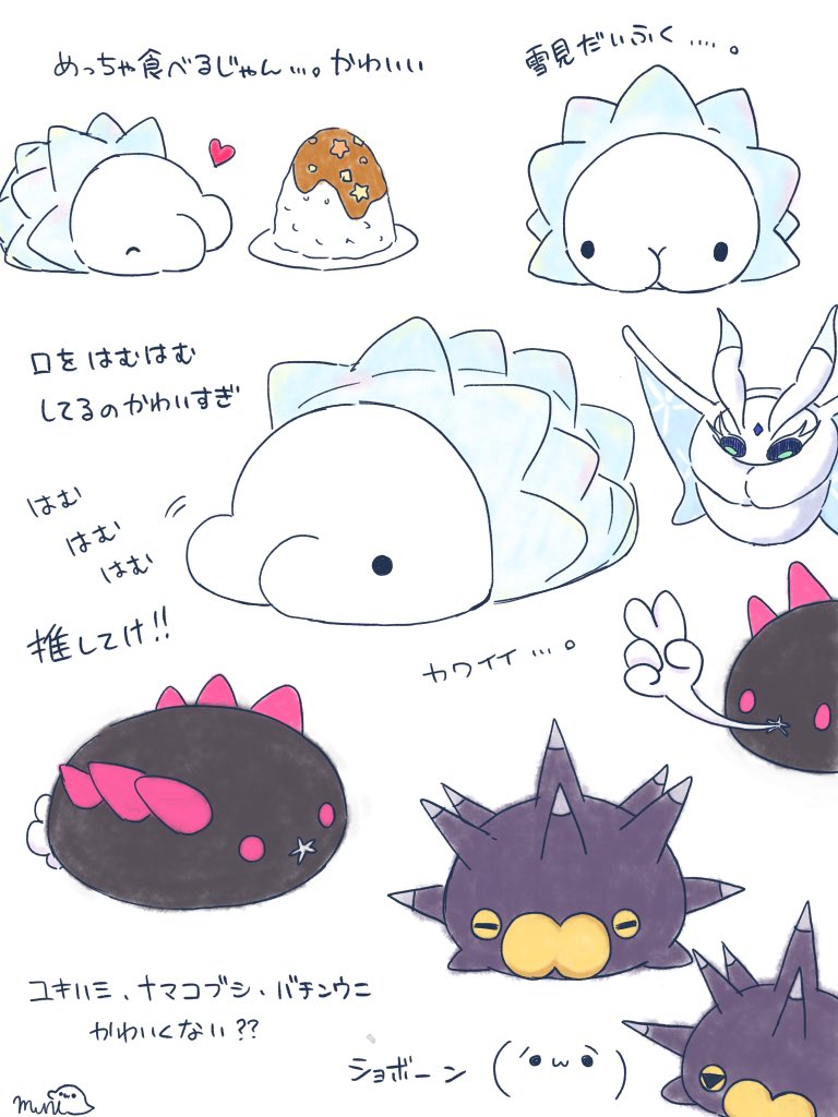 せやかてむに ユキハミ ナマコブシ バチンウニかわいいぞ